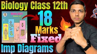 Most IMP Diagrams of Biology Class 12th newindianera By Prashant Bhaiya [upl. by Teriann280]