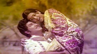 Gorintaku Jukebox  Video Songs Back to Back  Rajasekhar Aarti Agarwal  Sri Balaji Video [upl. by Florry]