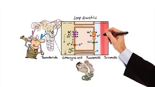 Pharmacology  DIURETICS MADE EASY [upl. by Adyol]