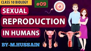 🔴🔴HUMAN REPRODUCTION🔴🔴L09🔴🔴 [upl. by Nref]