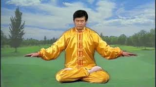 Falun Dafa Exercise 5 60 minutes [upl. by Ailecra]