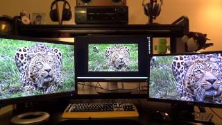 Review of the Philips 288P6LJEB 4K 60Hz Monitor  4K vs 1440p vs 1080p  By TotallydubbedHD [upl. by Ethe]