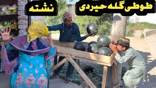 Tuti Gulla Hair de Neshta Pashto New Funny Video 2024 by Tuti Gull Official [upl. by Harobed306]