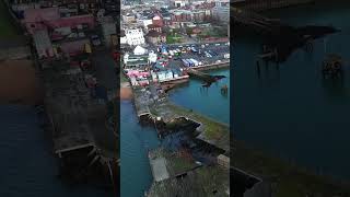 The future of the Royal Pier steamship shieldhall steam ship southampton history shorts [upl. by Nolek]