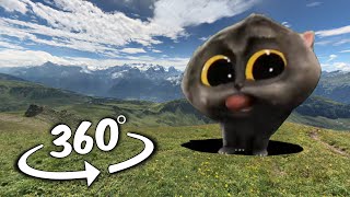 KITTEN KITTEN Scatman dance But Its 360 VR Video [upl. by Aitret822]