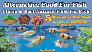 Home made Foods for fish Best natural food for dark colour Fast growth [upl. by Fishbein611]