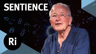 How did consciousness evolve  with Nicholas Humphrey [upl. by Shelton]