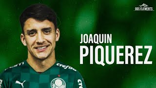 Joaquín Piquerez 2021 Bem Vindo ao Palmeiras  Skills amp goals  HD [upl. by Ivy161]