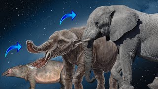 LA EVOLUCIÓN DEL ELEFANTE [upl. by Htide]