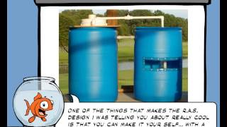 Recirculating Aquaculture Systems Made From Plastic 55 gallon Barrels [upl. by Ebenezer759]