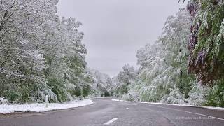 Late sneeuw Ardennen 4 mei 2019 [upl. by Ekul]