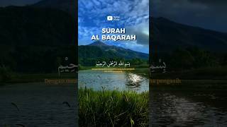 Surah Al Baqarah Mishary Rashid Alafasy surahalbaqarah surahbaqarahmishary souratealbaqara [upl. by Michel508]