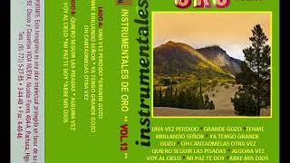 INSTRUMENTALES DE ORO VOL 13 [upl. by Newmann]