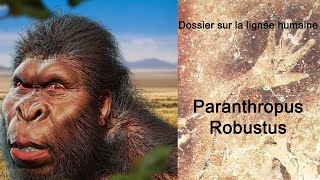 Paranthropus robustus [upl. by Noiraa]