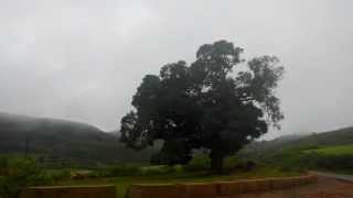 Ghat road from Jeypore towards Sunki  Vizianagaram [upl. by Holland]