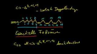 Organische Chemie 13 Fettsäuren 1  Einführung [upl. by Ynnaej]