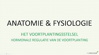 Hormonale regulatie van de voortplanting [upl. by Alliuqa]