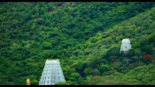 Tirumala to Tirupathi Alipiri Full Ghat Road Journey  Timelapse [upl. by Khalin631]