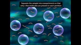 Digital PCR explained in 2 minutesmust watch [upl. by Gaul]