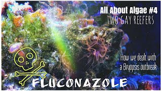 All About Algae  Fluconazole [upl. by Hopfinger478]