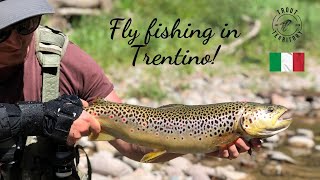 Fly fishing in Italy Trentino 2020  Muškaření v Itálii [upl. by Cathlene]