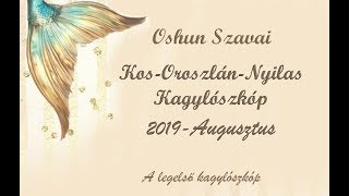 KOS OROSZLÁN NYILAS AUGUSZTUSI KAGYLÓSZKÓP TAROT [upl. by Ahsienahs]