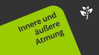 Die innere und äußere Atmung  eine Erklärung  Biologie  Humanbiologie [upl. by Nira458]