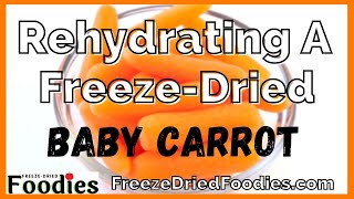 How To Rehydrate a FreezeDried Baby Carrot Weird [upl. by Bardo374]