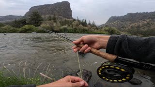 Fly Fishing Trout Road Trip Part 4  Fly Fishing the Crooked River Oregon 2023 [upl. by Sansbury]