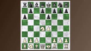 Opening Basics 9 Sicilian defense  Taimanov and Kan variations [upl. by Atteyek]