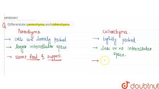 Differentiate parenchyma and collenchyma  CLASS 9  TISSUE  BIOLOGY  Doubtnut [upl. by Rednas]