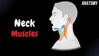 Muscles of the Neck Groups Origin Insertion Function [upl. by Ahsinik]