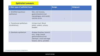 Neoplasia Nomenclature crash course [upl. by Wahs276]