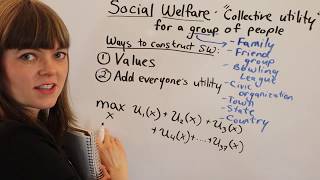 Social Welfare Fn Overview [upl. by Omissam959]