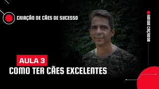 CRIAÇÃO DE CÃES DE SUCESSO  AULA 3 de 3 [upl. by Nonac]