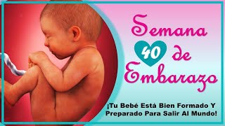 ❤️ SEMANA 40 DE EMBARAZO Y MI BEBE NO NACE🤰 ❤️ ⏩ EMBARAZO SEMANA A SEMANA ⏩ NOVENO MES [upl. by Llertnek]