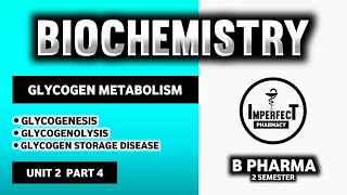 Glycogen Metabolism Pathway  Glycogenesis  Glycogenolysis  Glycogen Storage Disease  B Pharma [upl. by Burr]