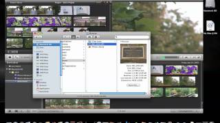 iMovie 11 Adding Still Images [upl. by Luckin822]