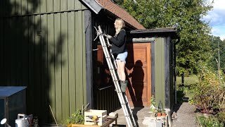 46 Shed done for autumn fixing outdoor lights and moving plants  Renovating small house myself [upl. by Kauslick742]