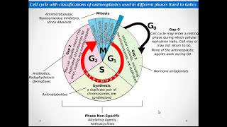 ANTI CANCER PHARMACOLOGY [upl. by Alexina]