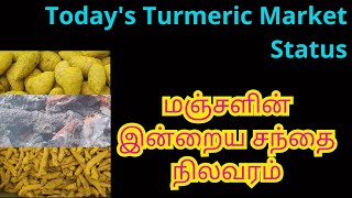 Todays Turmeric Market Status [upl. by Lucina107]