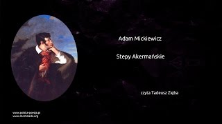 Adam Mickiewicz  Stepy Akermańskie [upl. by Nnylarac]