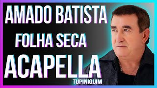 Amado Batista amp Simone amp Simaria  Folha Seca Acapella Tupiniquim [upl. by Maril]