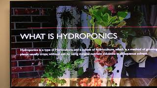 Aquaponics JeremyPeaches 10 11 2023 [upl. by Nido]