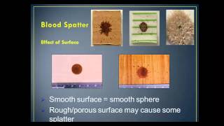 Blood Spatter Analysis Lecture  part 1 [upl. by Adonis591]