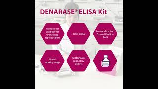 DENARASE ELISA Kit for the quantitative analysis of residual 𝘚𝘦𝘳𝘳𝘢𝘵𝘪𝘢 𝘮𝘢𝘳𝘤𝘦𝘴𝘤𝘦𝘯𝘴 endonucleases [upl. by Donoghue]