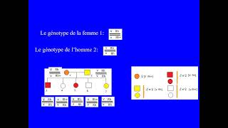 Exercice de génétique  Bac SVT concours de médecine  de recombinaison distance génétique [upl. by Virgil]