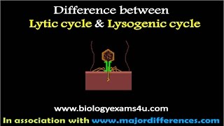 Difference between Lytic and Lysogenic cycle of Bacteriophage [upl. by Nahtnoj625]