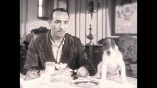 EL ARTISTA  Trailer  Michael Hazanavicius  Cannes 2011 [upl. by Aihgn]