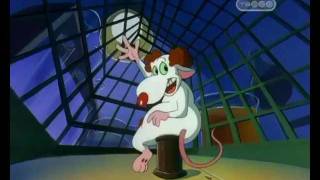 Pinky And The Brain And Larry russian intro П и Б и Ларри [upl. by Seligmann]